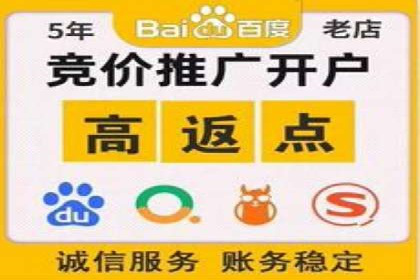SEM代运营服务公司案例分析：数据驱动营销策略